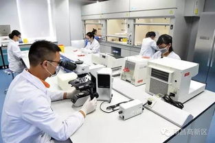 拼出新高度 十四項大舉措全面賦能高新區科技創新與科技中介服務升級