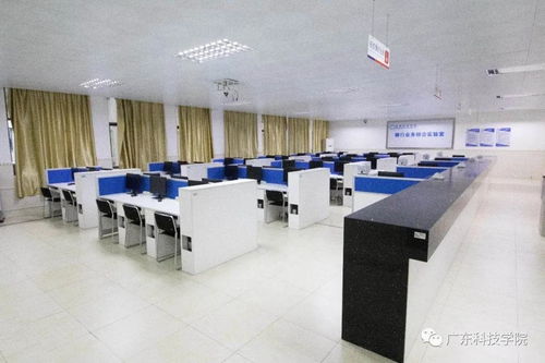 廣東科技學(xué)院41個本科專業(yè)巡禮 科技中介服務(wù)專業(yè)深度解析